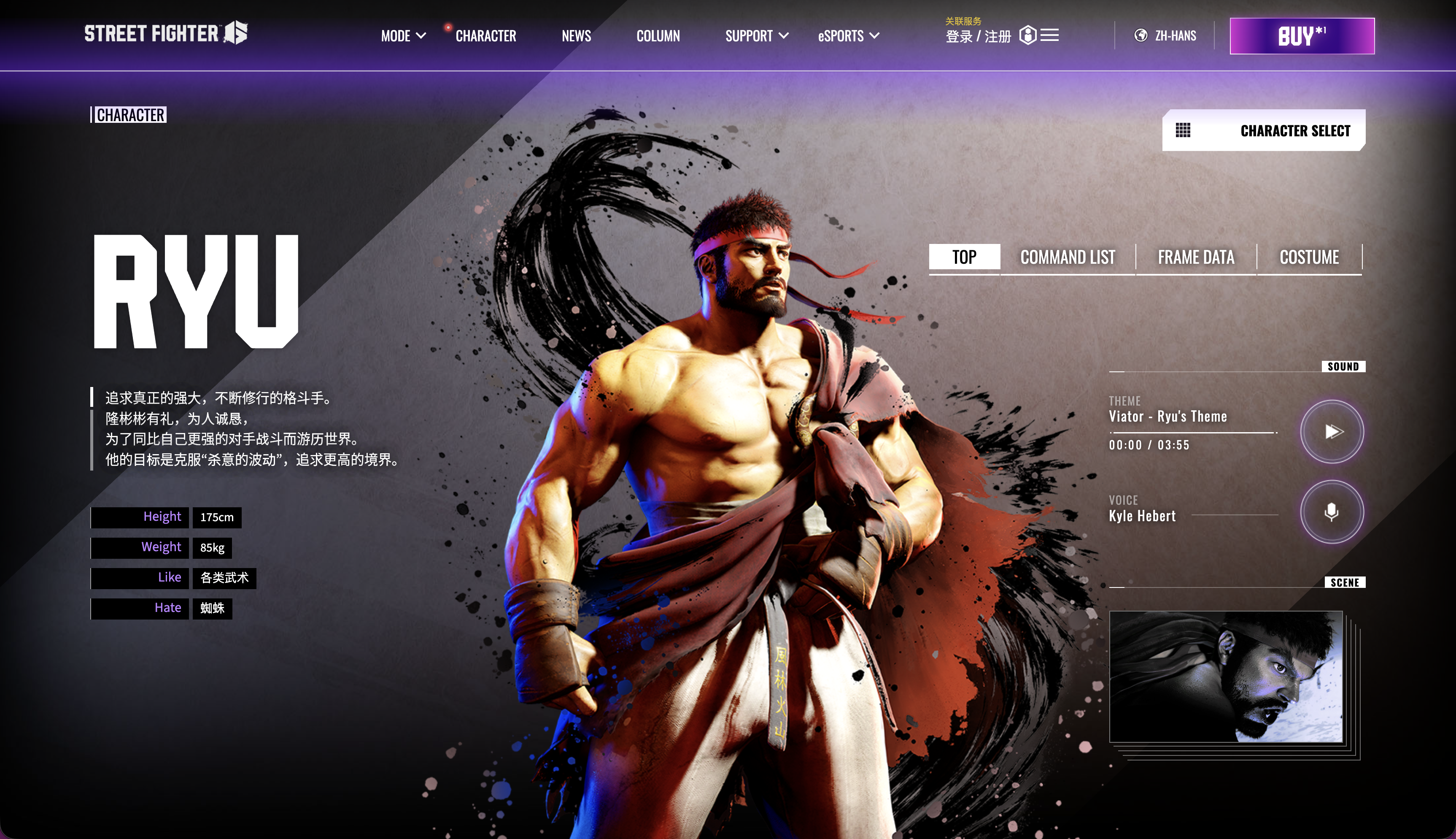 🥋 隆（Ryu）：孤高的求道者